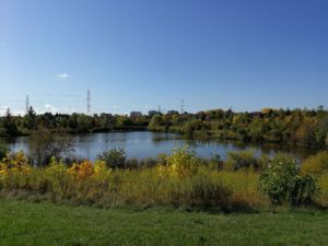 birchount lake1