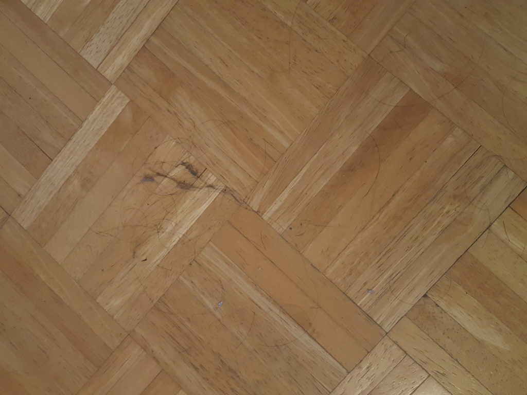 20191114_091322